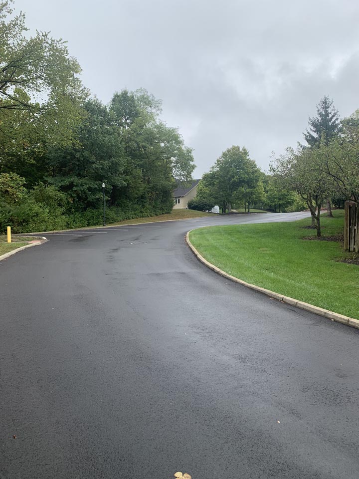 Asphalt Driveway